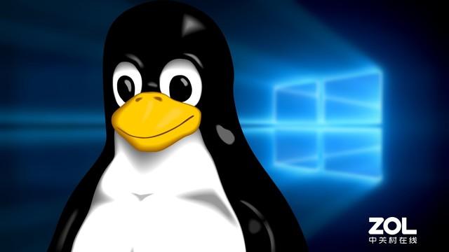 ԤװLinux��ô�� ����ѧ��U��װWin10