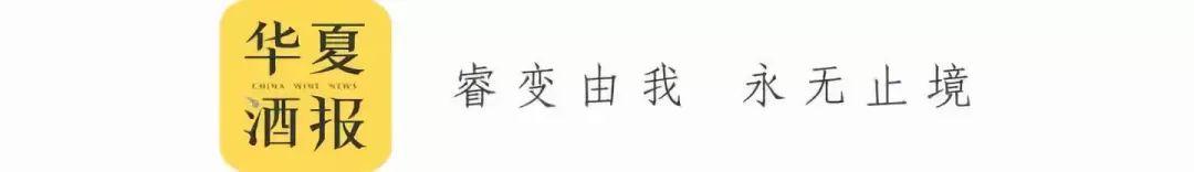 人物|陈文才:一网淘世界