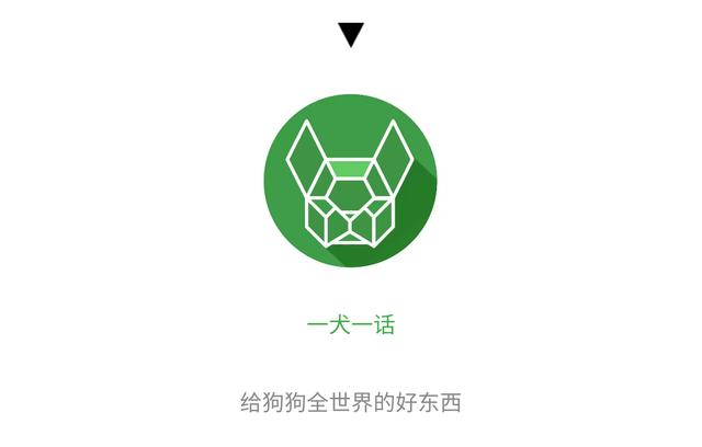 狗狗项圈那么多?其实也就 7 大类!