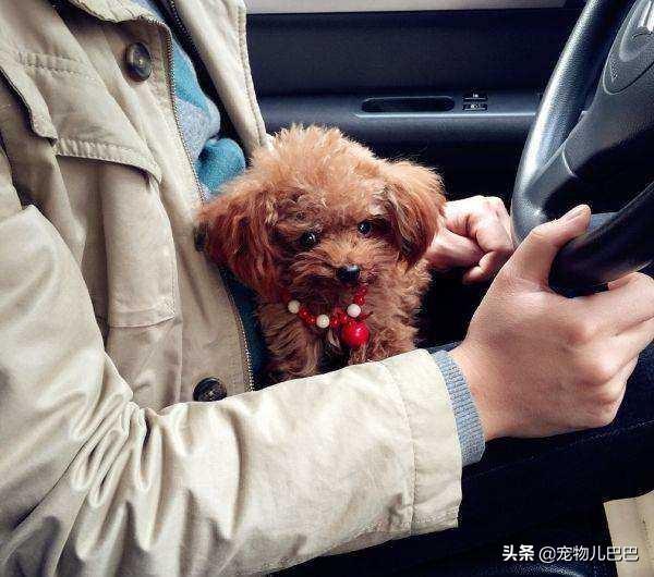 �������С̩�Ϲ������ɰ��Ĳ豭̩��Ȯ