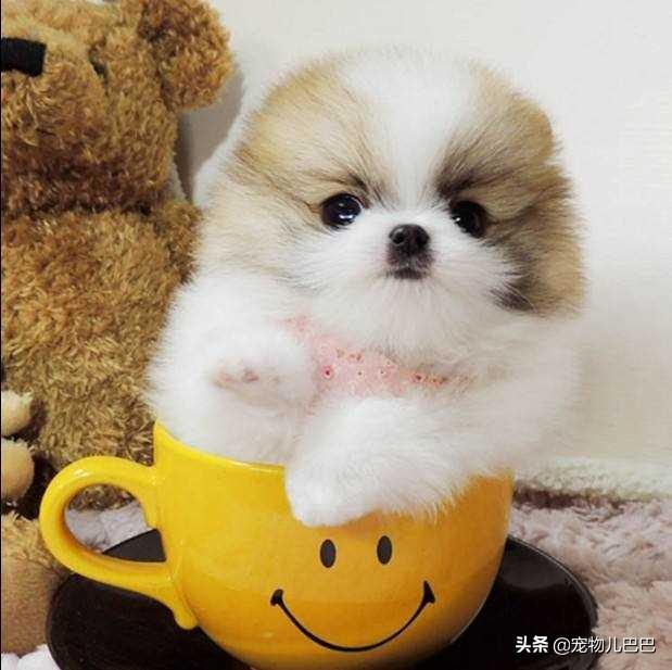 �������С̩�Ϲ������ɰ��Ĳ豭̩��Ȯ