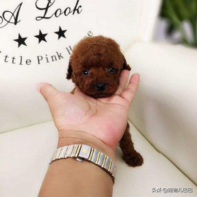 �������С̩�Ϲ������ɰ��Ĳ豭̩��Ȯ