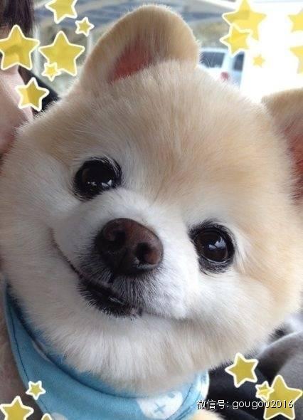 �ձ������Ȯ������������ճ�