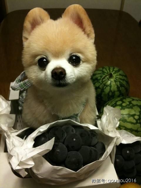 �ձ������Ȯ������������ճ�