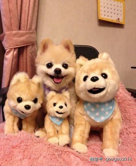 �ձ������Ȯ������������ճ�