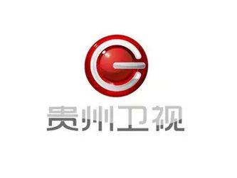 东方卫视LOGO其实是橙子?原来电视台LOGO寓意都这么深