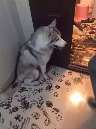 ѵ�� | ̩�ϲ�������С����֧��
