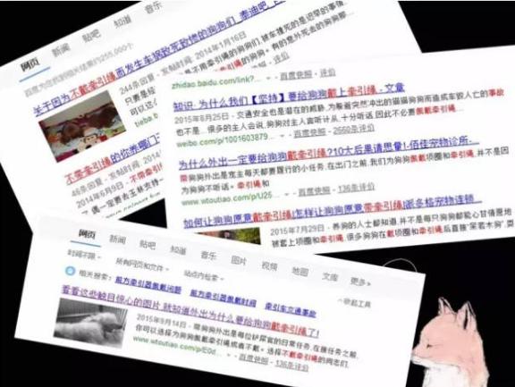 超实用!牵引绳训狗大法,轻松get!