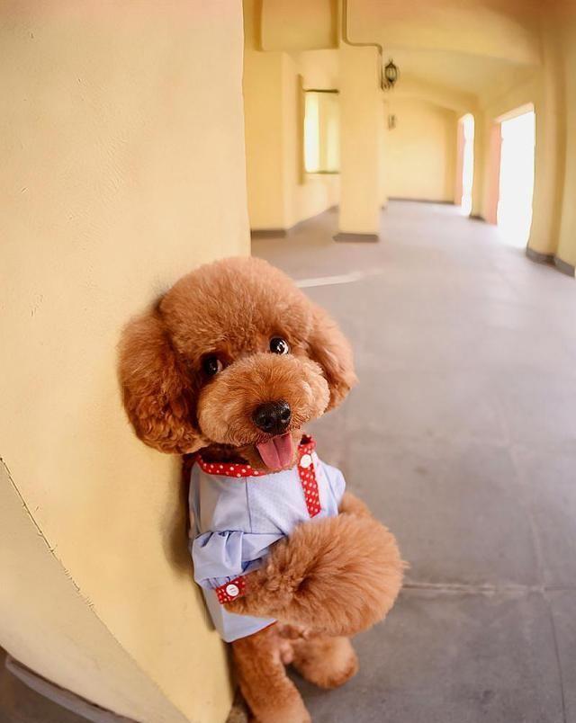 �������ղء�ѵ��̩�ϵ�5���ɣ������˽�һ�£�