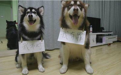 ѵ��Ҫ�з����������������򵥿�ʼѧ��ɣ�