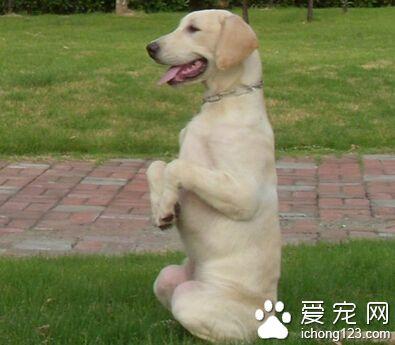 ����ѵ��ѧУ �ҳ�Ӧ�ø���ʵ�����������