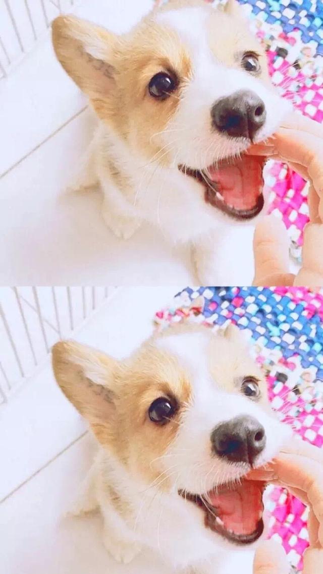�ɰ����������ֽ