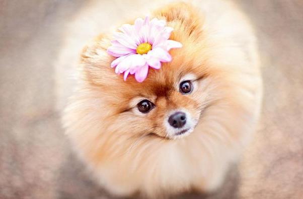 ����������Ȯ�������࣬6����ɾ����ܷ�