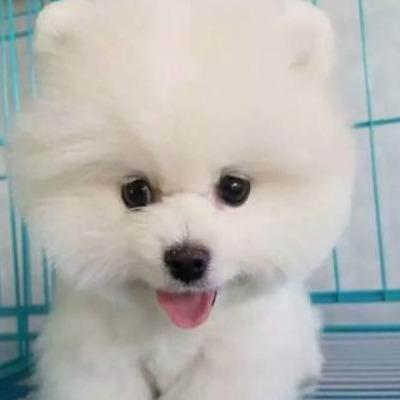 ����������Ȯ�������࣬6����ɾ����ܷ�