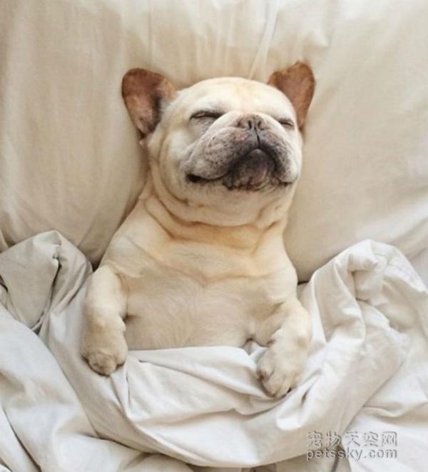 27��С���Ŀɰ���Ƭ ԭ��˯����ʱ��Ҳ������