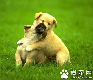 ѵ��С���� Ҫʹ��ͳһ����ѵ����������