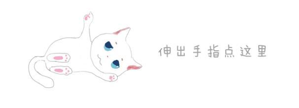 养泰迪的六种“坏处”,每位铲屎官都要三思,养泰迪可不简单!