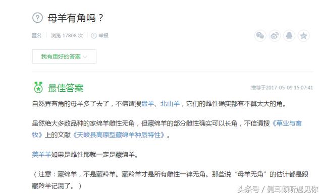美羊羊居然长角!众所周知:母羊没有角