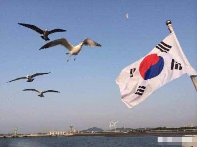 韩国国土有多大?人口多少?最大的变化是什么?