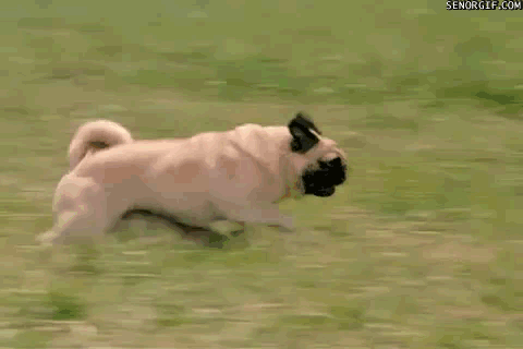 ���(����Ȯ)��ѵ����������Щ