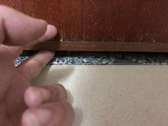 怎么防止老鼠入侵,家里怎么防老鼠?看完秒懂