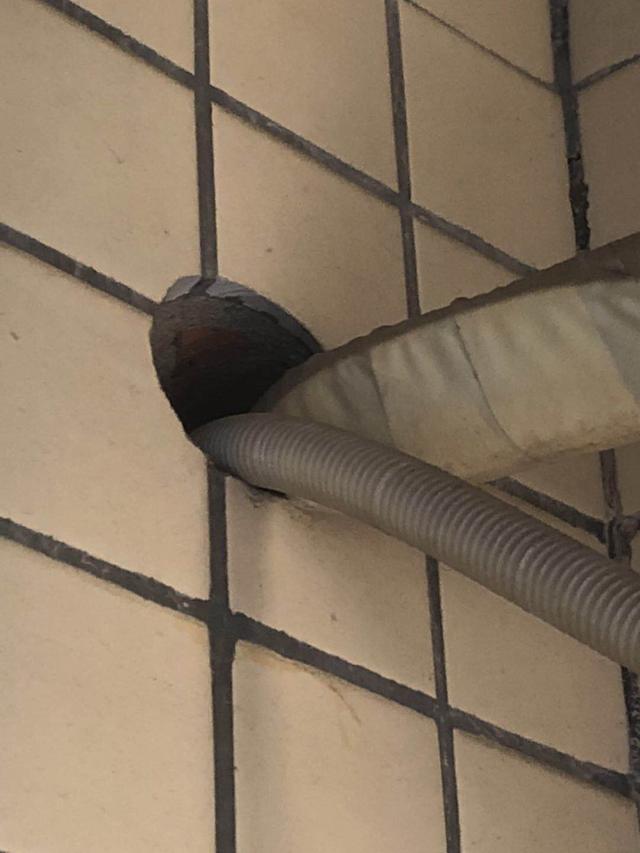 怎么防止老鼠入侵,家里怎么防老鼠?看完秒懂