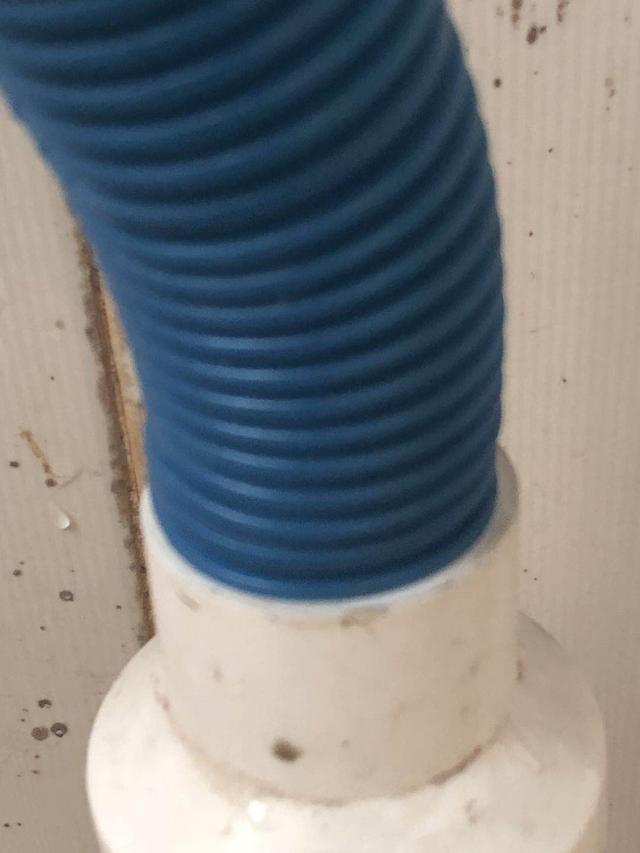 怎么防止老鼠入侵,家里怎么防老鼠?看完秒懂