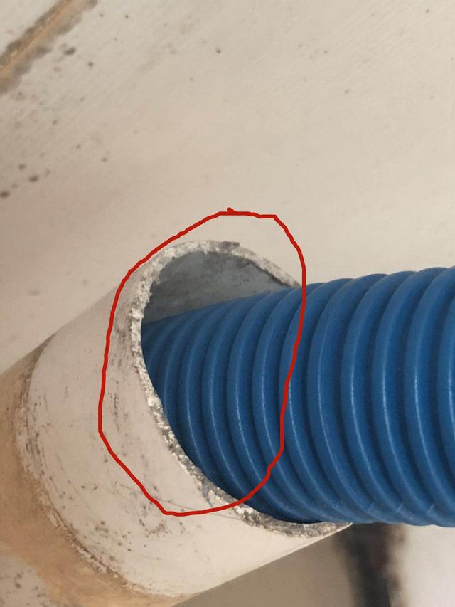怎么防止老鼠入侵,家里怎么防老鼠?看完秒懂