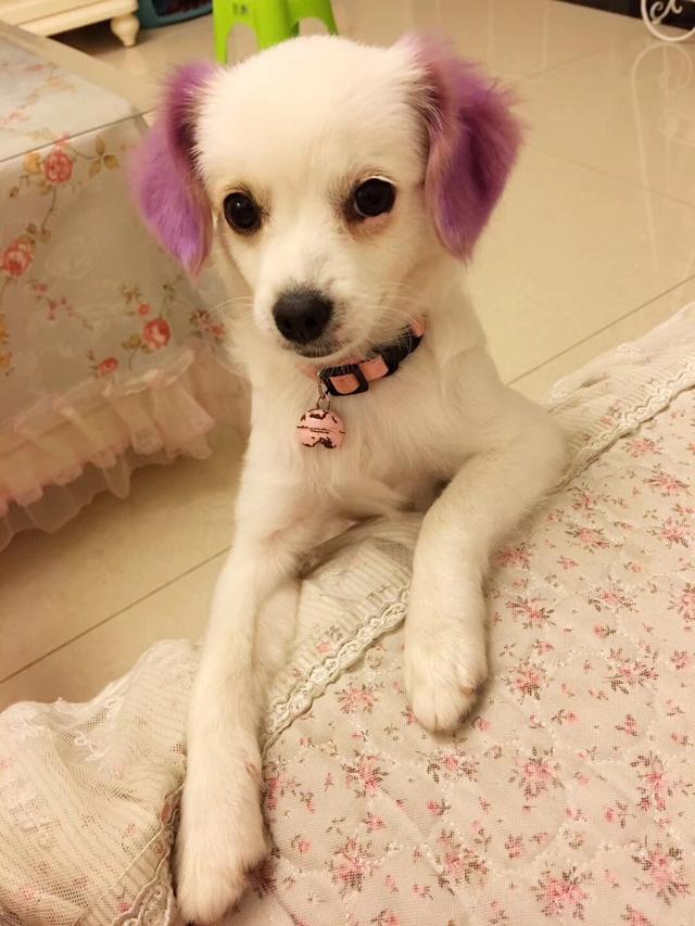 ʲô�д����������������ŵ�����Щ��