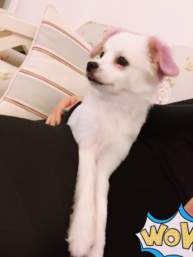 ʲô�д����������������ŵ�����Щ��