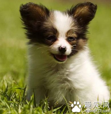 ѵ����������Ǯ ����ѵ��������������Ǯ