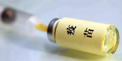 小狗刚到家怎么养,最科学的方法,了解一下