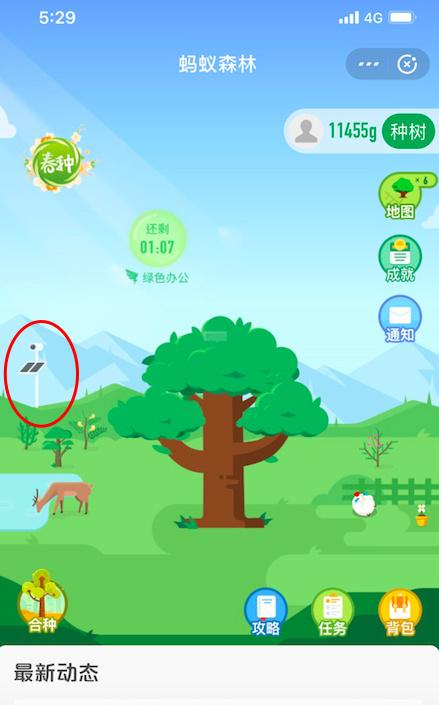 蚂蚁森林上线了一个新功能,我们可以通过照片看到自己种下的树