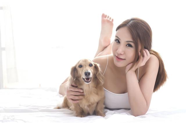 基础训狗教程,轻轻松松让你的狗狗又乖又听话(一)