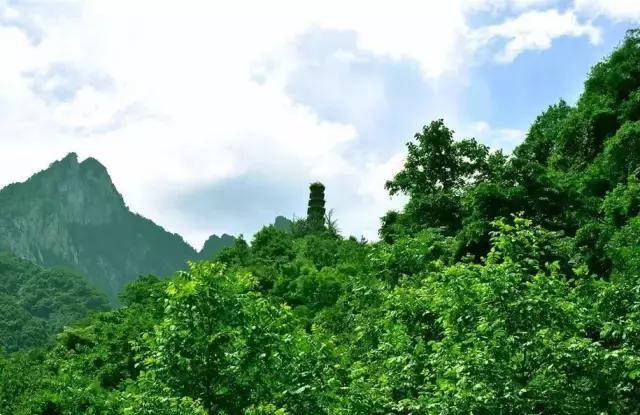 �����ܱ߾�Ȼ����ô��õط������پ�������ѣ�
