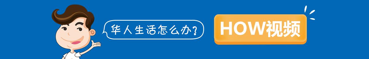简单实用的训狗方法:如何教狗定点大小便!
