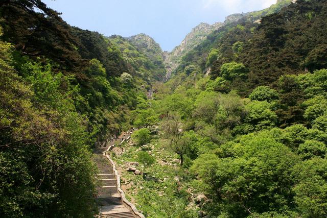 唐诗闲读:“会当凌绝顶,一览众山小”