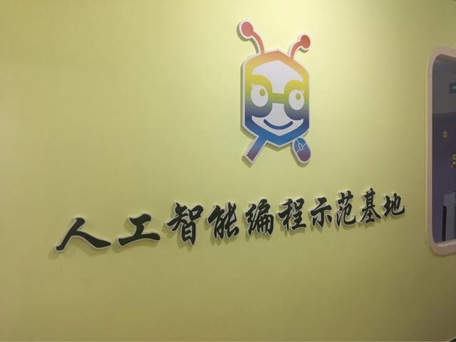 只有学习编程,才能抓住孩子智力开发的黄金期!