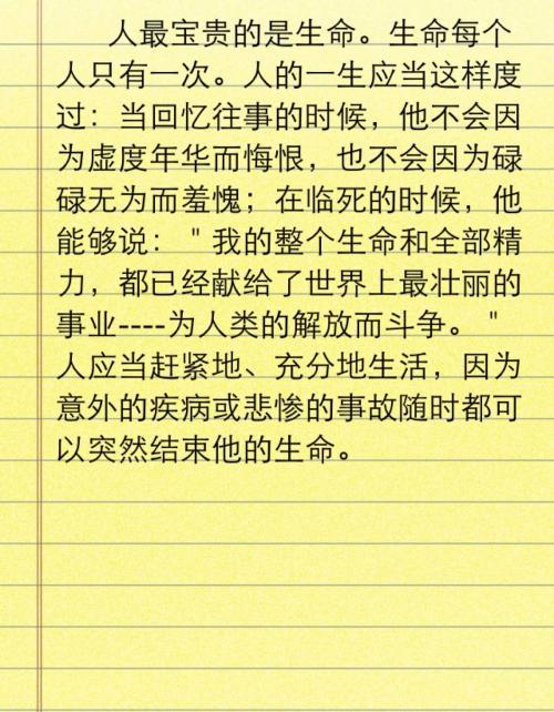 《钢铁是怎样炼成的》,小时候支撑我按时完成作业的坚强后盾