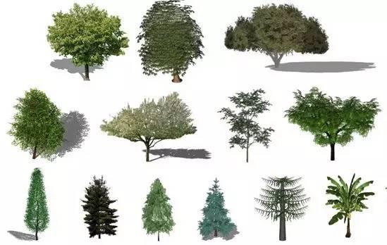 500 ����ѵ� Sketchup ֲ��⣬�������ز������