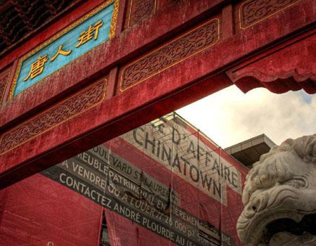 冷知识:骆驼为什么耐旱?骆驼的耐旱之谜