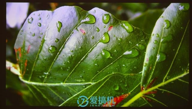 投影仪中的性价比之王!千元投影仪坚果极越A6使用评测