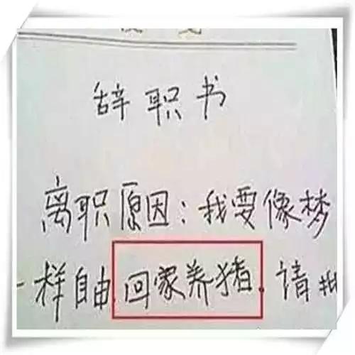辞职是个技术活啊,这样的辞职书才能打动老板