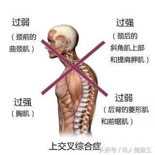 �ֻ�����ˣ����º����ձ���ô�죿�⼸�н��������̬