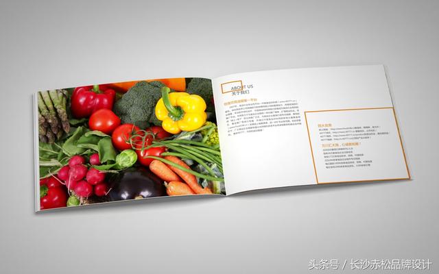 ��ҵ������ƣ�ʳƷ��ҵ�Ż�����ҵ����������ƣ������ֲ����