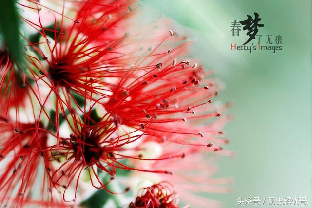 “春梦了无痕”人尽皆知,它的上一句更加经典,知道的人却不多!