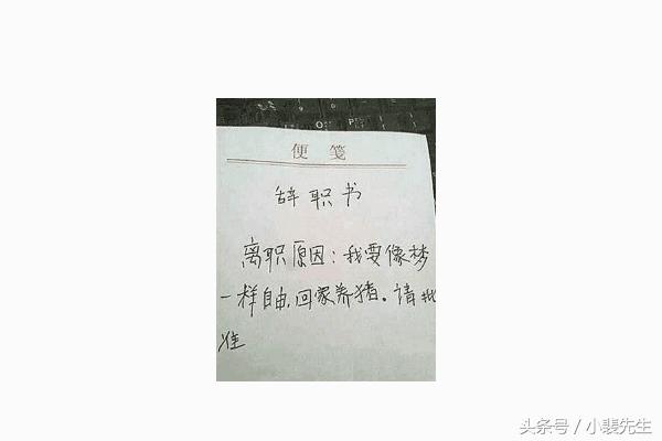 д���ϰ�Ĵ�ְ���棬���֡���ں�ԭ�򡱿���ֵ�÷�˼��