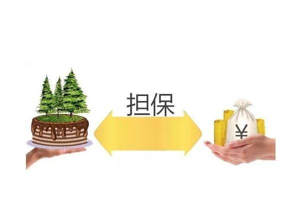 合同中的反担保是什么?反担保解除的条件是什么?如何解除?