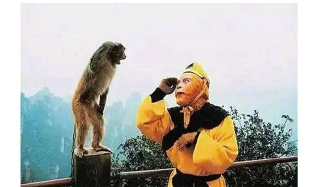 86版的西游记你知道有多少集?