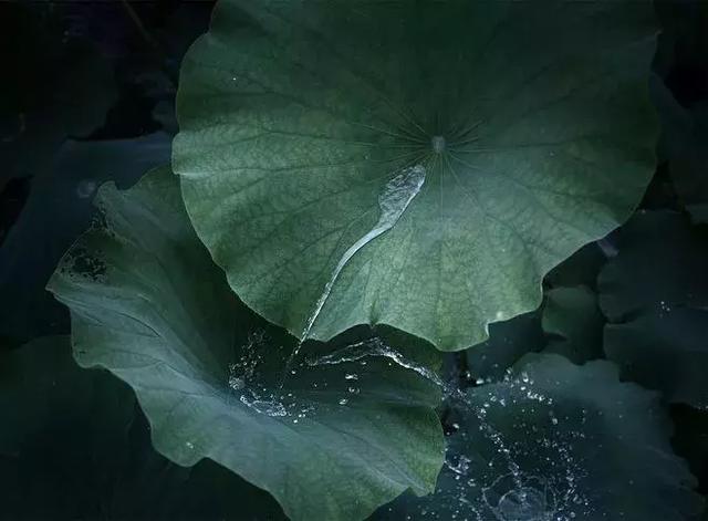真正的修行,是返璞归真